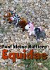 Fünf kleine Huftiere - Equidae